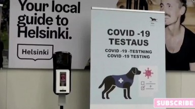 Coronavirus Sniffing Dogs at Miami Airport