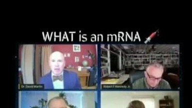 mRNA Is Not What You Think