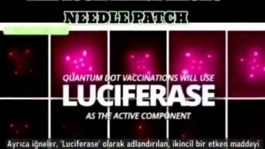Luciferase Nano Tech