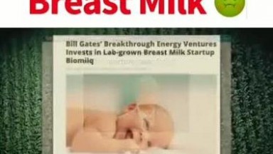 Lab grown breastmilk